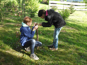 Baumschildbefestigung