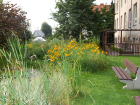 Banc au jardin d'école