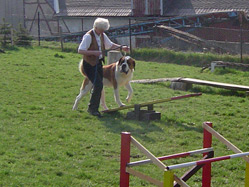 Misses Jen&szlig;en with her Saint Bernard