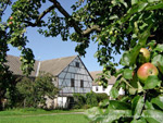 Gehöft mit Apfelbaum