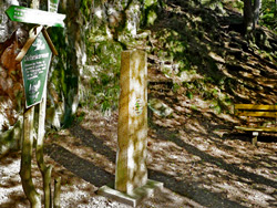 Mittelpunkt von Sachsen