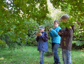 Schüler im Schulwald